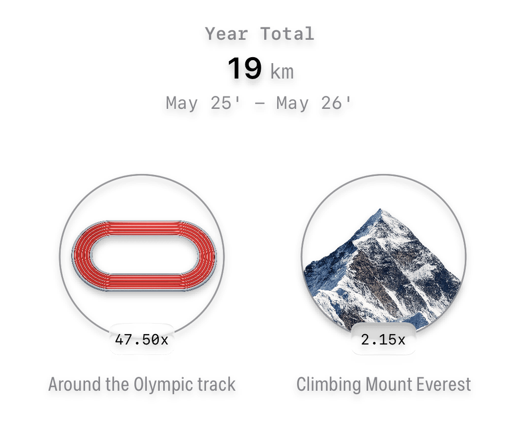 Journey till now year total with Olympic track and Mount Everest milestones